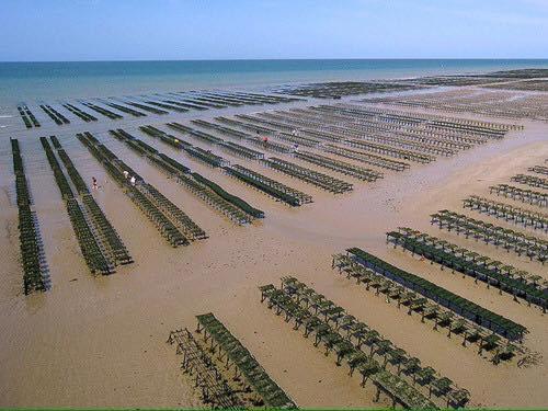Maison Renovee En Pierres Sejour Spacieux Avec Jardin Et Terrasse Amenagee Pres Omaha Beach & Bayeux A 5Mn De La Mer Tous Commerces Commes Ngoại thất bức ảnh